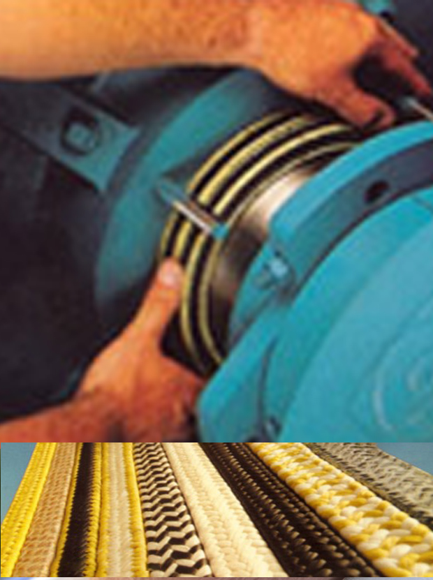 Roeming-Seals-OLD-split